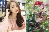 3 Shbet888.com nhà cái uy tín được Thần Tài cưng nựng, gặt hái vận may liên hoàn, tài lộc bùng nổ trong tháng 4/2021