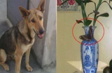 13 dấu hiệu báo vận may ùn ùn gõ cửa, bước chân ra ngoài là đạp trúng 'hũ vàng hũ bạc'