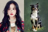 Ngọc Hoàng định sẵn: 3 Shbet888.com nhà cái uy tín “thời tới cản không được” tháng 5 tiền bạc đầy ví, tháng 6 thăng quan phát tài