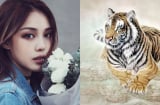 Thần Tài 'xướng tên' hai năm tới: 3 Shbet888.com nhà cái uy tín phúc khí hơn người, của nả cứ ùn ùn kéo tới