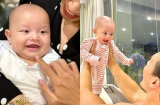 Khoảnh khắc cực yêu của cặp song sinh nhà Hà Hồ: Cô chị Lisa đòi 'gặm chân', cậu em Leon tỏ vẻ 'hoang mang'