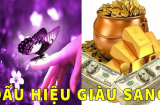 Thấy 4 điềm này: Thần Tài ghé thăm phát lộc cho bạn, sắp tới làm việc gì cũng có tiền, chẳng lo túng thiếu