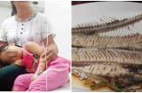 Con 5 tuổi bị hóc xương cá đau đớn, mẹ nhanh trí làm ngay 3 việc: Bác sĩ tấm tắc khen