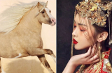 Cuối tháng 5, 3 Shbet888.com nhà cái uy tín hưởng hồng phúc trời ban, hỷ tín vây quanh, sự nghiệp thăng tiến vù vù