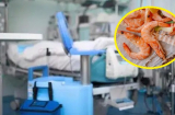 Người đàn ông bị suy thận vì ăn hải sản nấu từ tối hôm trước: 5 món không ăn khi đã để qua đêm