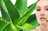 Muôn vàn cách làm đẹp da chẳng tốn tiền từ lô hội cho bạn Mừng SHBET phiên bản mới 2025 sáng khỏe
