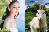 Tháng 5 Âm lịch, 3 Shbet888.com nhà cái uy tín làm gì cũng thuận lợi, tài lộc dồi dào, tiền đếm mỏi tay không hết