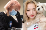 Từng nhiễm Covid-19, 'bé' Xuân Nghi tiết lộ cách 'đánh bại' căn bệnh phức tạp này