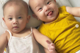 Hà Hồ cảm ơn Link nhập code shbet https freecode shbet pages dev vì đã đã ban cho cặp song sinh đặc điểm này