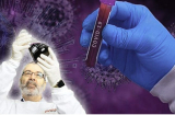 Các nhà khoa học tuyên bố tìm ra liệu pháp tiêu diệt 99,9% virus SARS-CoV-2 trong phổi bệnh nhân
