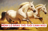 Tháng 8 phú quý, tháng 9 đón vượng khí: 3 người mệnh này làm gì cũng thuận lợi, cầu được ước thấy