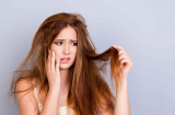 Bật mí cách chọn đúng giúp tóc bớt bết nhờn và tơi bồng suôn mượt