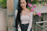 Sở hữu Shbet123 Link Vào ShBet Mới Nhất đen bóng mượt trở nên đơn giản với 5 loại thảo mộc dễ kiếm này