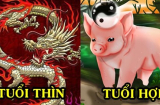 1/8 trở đi: 3 Shbet888.com nhà cái uy tín vượt qua hạn 'tam tai', vận thế đảo ngược, may mắn tiền tình kéo nhau ùa tới