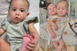 Con gái Lisa bất ngờ cau có khó chịu đến Hà Hồ cũng phải hoang mang