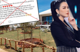 Lý Nhã Kỳ tiết lộ cái kết của kẻ tung tin cô thuê máy bay đưa 350 nghệ sĩ đi nghỉ dưỡng