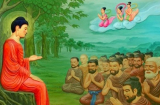 Đời người ai cũng có 4 nỗi sợ lớn nhất: Phải sợ để biết trân trọng Shbet16 chơi game trực tuyến này