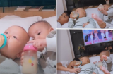 Hiếu động là thế nhưng khi ăn Leon trật tự bất ngờ, còn Lisa lại chỉ tập trung 'khám phá' bình sữa