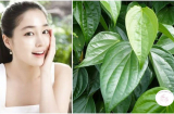 Đánh bay nám tàn nhang nhờ loại lá quen thuộc này giúp chị em tự tin khoe sắc