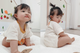 Cùng là khoe ảnh con gái cưng, Đông Nhi và Ông Cao Thắng lại có phản ứng hoàn toàn trái ngược