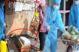 Bà con cứ nhận thực phẩm là phun khử khuẩn, Bộ Y tế cảnh báo: Rất hại, phải dừng ngay