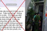 Người đàn ông than 'thiếu lương thực, không được tiếp tế', cán bộ tức tốc kiểm tra và kết quả 'ngã ngửa'