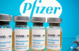 Chính phủ duyệt chi hơn 2.650 tỉ mua thêm 20 triệu liều vắc xin phòng Covid-19 của Pfizer