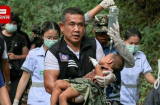 Tìm thấy bé gái 1 tuổi bị bắt cóc và giấu trong hang tối 3 ngày: Thủ phạm khai gì với cảnh sát?