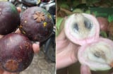 Chuyên gia chỉ rõ 9 loại quả thuần Việt không bao giờ nhập từ Trung Quốc, chị em yên tâm mua
