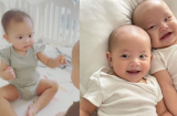 Hồ Ngọc Hà 'tan chảy' trước hành động siêu ngọt ngào của Lisa - Leon
