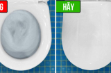 Vì sao bạn nhất định phải đậy nắp bồn cầu trước khi xả nước?