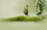 5 điều hối hận lớn nhất trong cuộc đời, bạn tránh được ắt thành công
