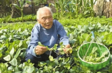 Cụ bà 102 tuổi nhưng nội tạng vẫn khỏe như thời 30, bí quyết chính là loại thực phẩm dân dã bán đầy chợ
