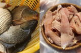 5 bộ phận của cá đừng ăn dù thấy ngon đến đâu: Chứa chất cặn bã, kim loại gây bệnh, bỏ đi thì hơn