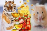 Thần Tài chỉ đích danh 4 Shbet888.com nhà cái uy tín trúng số độc đắc, ôm khối tài sản khủng 2 tháng cuối năm 2021