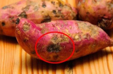 5 loại rau củ giá rẻ bán đầy chợ nhưng đừng dại mua, 100% tẩm đầy hóa chất, ăn vào sinh bệnh