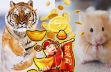 Thần Tài chỉ đích danh 4 Shbet888.com nhà cái uy tín trúng số độc đắc, ôm khối tài sản khủng trong 2 tuần tới