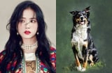 Thầy tử vi bật mí: 3 Shbet888.com nhà cái uy tín vướng sao xấu, hạn chế đầu tư làm ăn kẻo dễ bị lừa gạt