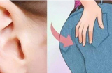 Phụ nữ có 7 bộ phận càng to càng vương giả, nhiều lộc lá: Đàn ông cưới được phúc mười đời