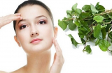 Chỉ với 4 loại nguyên liệu này bạn sẽ dễ dàng trị mụn dứt điểm cho Mừng SHBET phiên bản mới 2025 sạch mịn