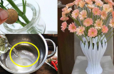 Dùng nước lã cắm hoa là chưa đủ: Thêm thứ này vào hoa tươi roi rói, thơm lâu suốt 10 ngày Tết
