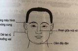 Đàn ông khí chất hơn người, chuẩn chồng quốc dân, tài ba chung thủy thường sở hữu 3 nét tướng sau