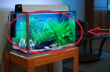 Làm quần quật quanh năm mà vẫn không khá lên được: Kiểm tra ngay xem dưới chân bàn thờ có đặt những vật này?
