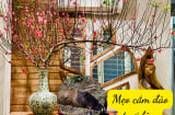 Bí quyết giúp đào sai hoa, nảy lộc tươi tốt suốt 10 ngày Tết