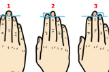 Nhìn độ dài của ngón trỏ, đoán biết vận mệnh sướng khổ ra sao, hậu vận giàu sang hay vẫn nghèo khó