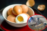 Gia đình 4 người ngộ độc nặng sau bữa tối với trứng gà: Cảnh báo 6 sai lầm nên tránh khi ăn trứng