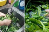 Đừng rửa rau với nước muối nữa, sử dụng nguyên liệu này giúp loại bỏ 90% tạp chất: Chuyên gia khẳng định an toàn