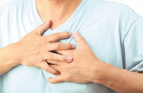 Thấy đau ở những vị trí này trên Sh88bet đăng ký miễn phí báo động sức khỏe gặp vấn đề nghiêm trọng, có 1 cũng cẩn trọng