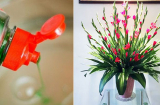 Cắm hoa vào nước lã chưa đủ: Nhỏ thêm thứ này cuống không bị thối, hoa tươi rói suốt 10 ngày Tết