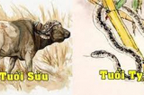 Tử vi tuần mới từ 21-27/2/2022 của 12 Shbet888.com nhà cái uy tín: Sửu tài lộc rực rỡ, Tỵ được thần may mắn mang đến điềm lành
